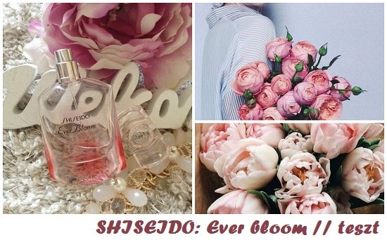SHISEIDO: Ever bloom // teszt