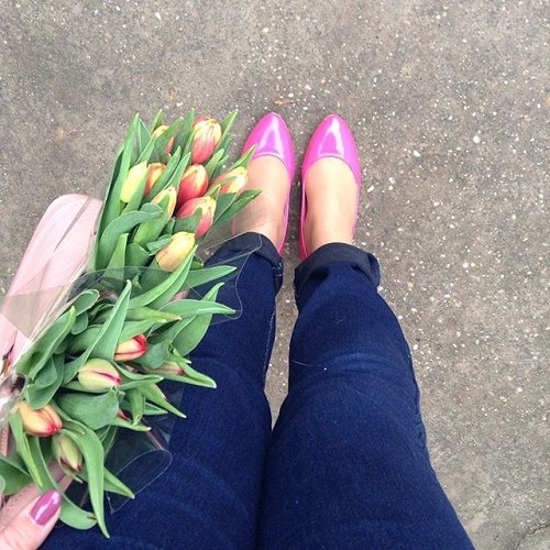 Tulipánok / táskámban 
