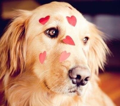 10504dc2e4962e1b447d325fa37e102c