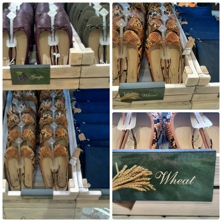 Marcha Ballerina Hungary