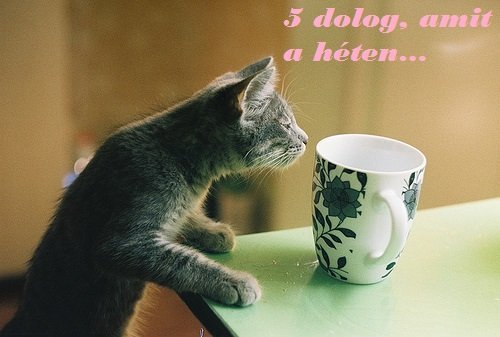 5 dolog