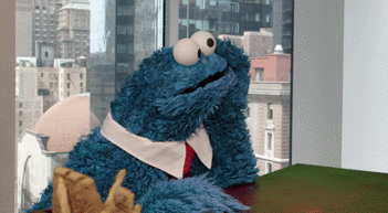 cookie-monster-w352