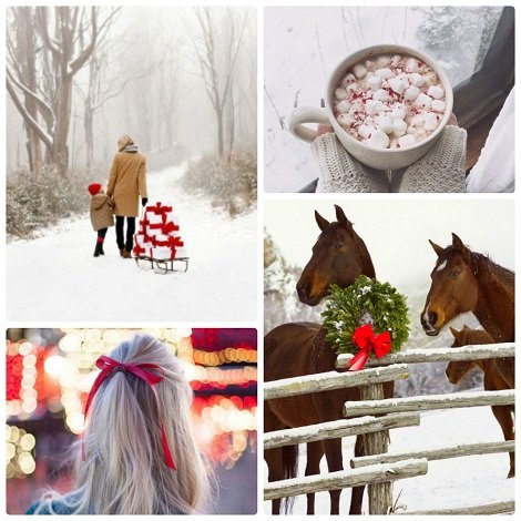 hgggcollage_photocat