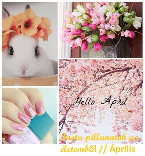 11084809_1617562321788996_1966482834_n