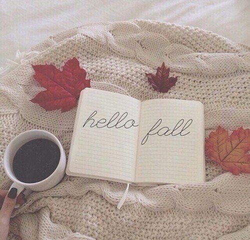 5 dolog, amit héten… 