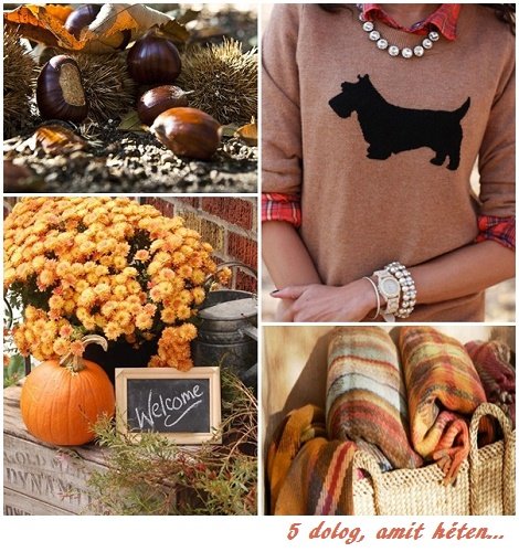 5 dolog, amit héten…