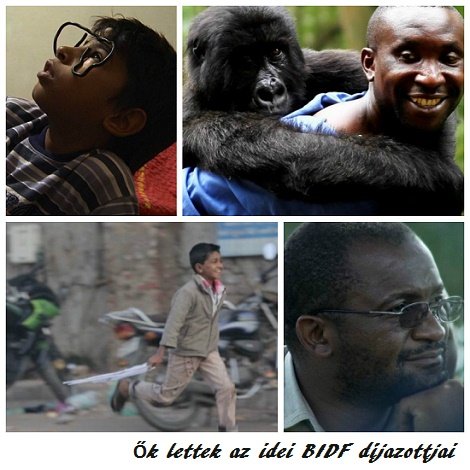 Ők lettek az idei BIDF díjazottjai