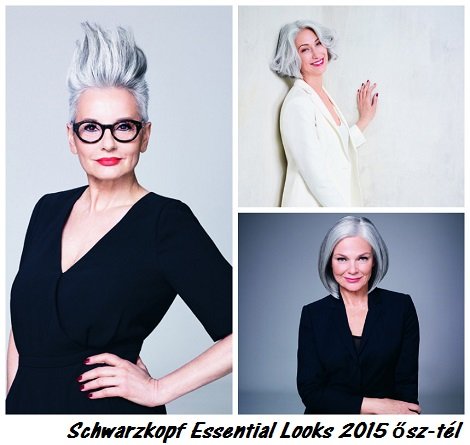 Schwarzkopf Essential Looks 2015 ősz-tél