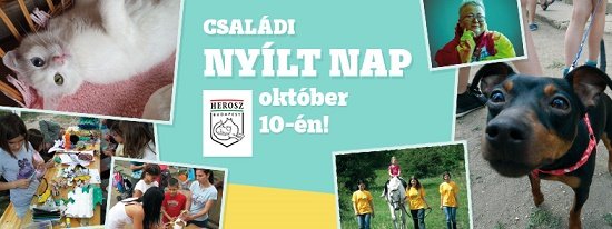 Nyílt Nap a HEROSZnál