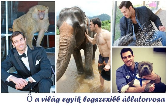 Ő a világ egyik legszexibb állatorvosa