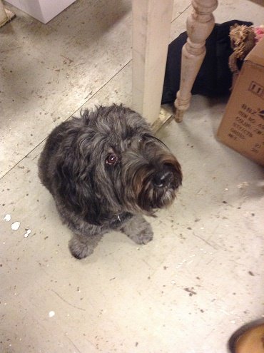 Coca-Cola Karácsonyi Masni Workshop