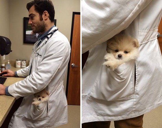 Evan Antin