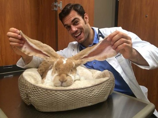 Evan Antin